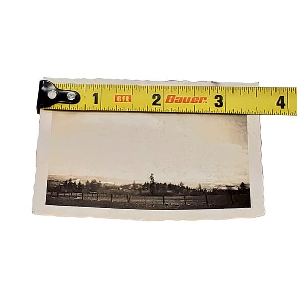 Vtg B&W Monochrome Found Photo 1930s Park Trees Cloudy Sky Naturecore Snapshot - Picture 4 of 4